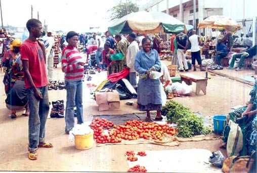viechereCameroun1.jpg viechereCameroun1.jpg