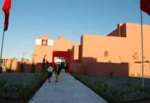 Trouver les perles du cinéma africain de demain : interview de Brigitte Aknin ESAV.jpg