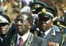 Zimbabwe : les vétérans, le bouclier de Robert Mugabe