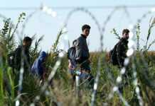Des migrants