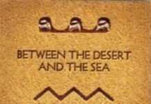 El Tanbura, au plus profond des traditions d’Egypte El Tanbura, au plus profond des traditions d’Egypte