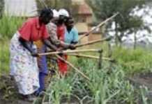 Droits fonciers : le combat des femmes africaines