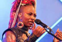 Dobet Gnahoré au festival du Bout du Monde © Thesupermat