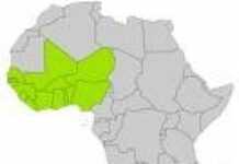 La CEDEAO condamne le coup d’Etat survenu en Mauritanie La CEDEAO condamne le coup d’Etat survenu en Mauritanie