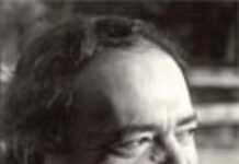 Ali Mecili