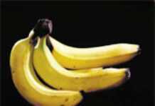 L’UE marque son désaccord avec l’OMC au sujet de la banane L’UE marque son désaccord avec l’OMC au sujet de la banane