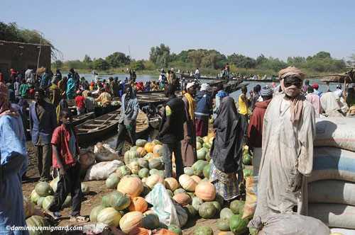 niger-2.jpg niger-2.jpg
