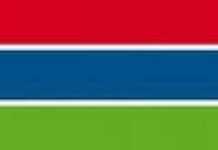 Les NERICA, un espoir pour la sécurité alimentaire ? Les NERICA, un espoir pour la sécurité alimentaire ?