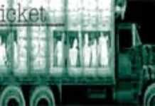 Un « Ticket » pour la peur Un « Ticket » pour la peur