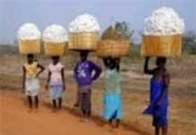 Le Burkina-Faso en quête d’investisseurs en France Le Burkina-Faso en quête d’investisseurs en France