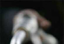 Carburant cher: la Guyane s’enflamme Carburant cher: la Guyane s’enflamme