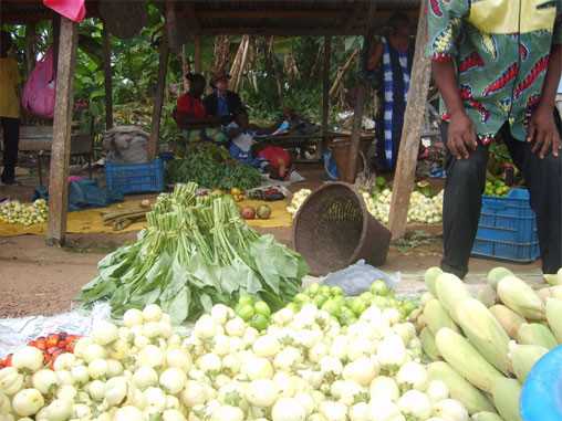 marcheGabon.jpg marcheGabon.jpg