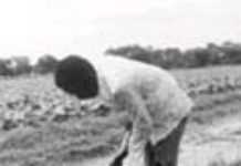 Afrique du Sud : l’épineuse question de la redistribution des terres refait surface Afrique du Sud : l’épineuse question de la redistribution des terres refait surface