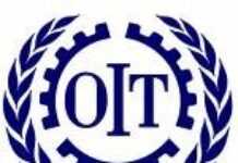 Crise de l’emploi : la solution clé en main de l’OIT livrée à la volonté politique des Etats Crise de l’emploi : la solution clé en main de l’OIT livrée à la volonté politique des Etats