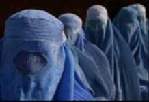 France : sous le voile, la polémique France : sous le voile, la polémique