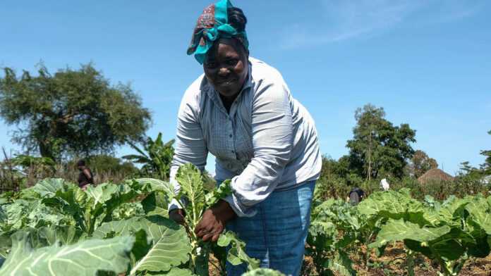 Une agricultrice