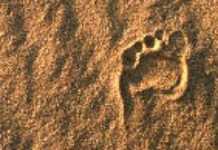 L’Autre Afrik L’Autre Afrik