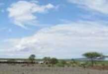 L’art de prévoir les épidémies de fièvre de la Vallée du Rift L’art de prévoir les épidémies de fièvre de la Vallée du Rift