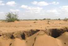 La sécheresse accentue l’exode rural au Somaliland La sécheresse accentue l’exode rural au Somaliland
