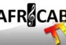 Africabox TV : une chaîne de télévision musicale pour la diaspora Africabox