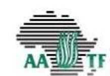 Les cultures tolérantes à la sécheresse sont cruciales pour préparer l’Afrique au changement climatique Les cultures tolérantes à la sécheresse sont cruciales pour préparer l’Afrique au changement climatique