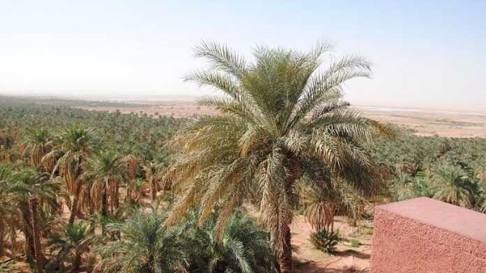 L'oasis de Timimoun et le Gourara