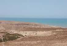 desert_en_marche.jpg