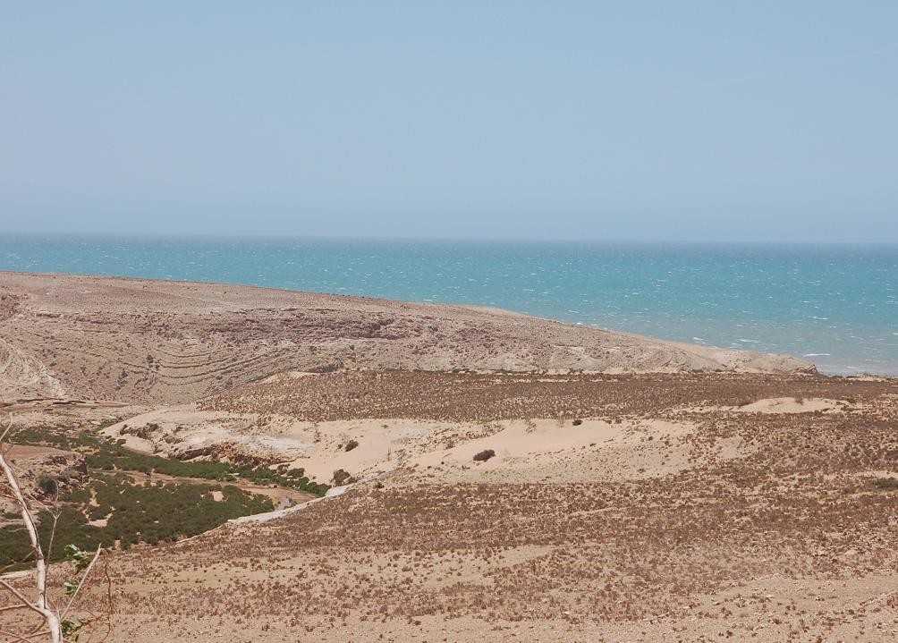 desert_en_marche.jpg desert_en_marche.jpg