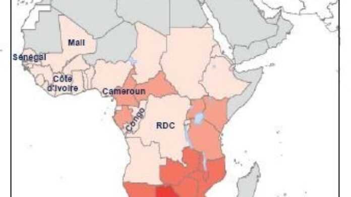 Carte_Afrique_sida_2007.jpg