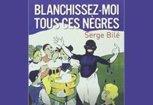 Blanchissez-moi tous ces nègres