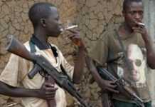 Le Who’s who des groupes armés dans l’est de la RDC