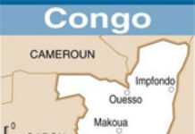 Disparition d’un avion entre le Cameroun et le Congo Disparition d’un avion entre le Cameroun et le Congo