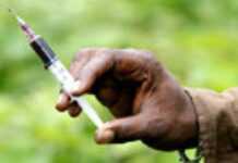 L’Afrique : une voie de passage pour la drogue