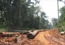 La Chine, baron du bois La Chine, baron du bois