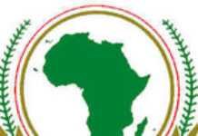 Union africaine : les dirigeants africains réunis à Kampala