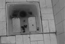 Les Marocains traquent les toilettes sales facukte-des-lettres-et-sciences-humaines-de-Casablanca.jpg