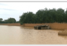 Inondations dévastatrices au Niger
