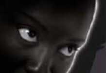 Penser « Africain » pour panser l’Afrique Penser « Africain » pour panser l’Afrique