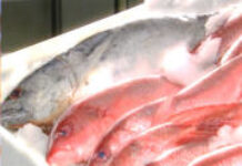 Ebadjea, une recette de poisson