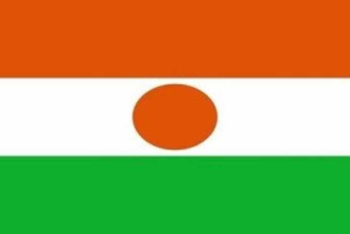 niger moyen