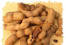 Recette du jus de tamarin Recette du jus de tamarin