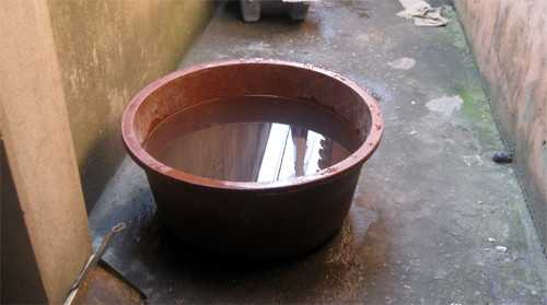 arton21248