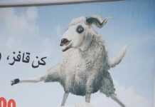 L’Aïd pour pas cher mouton_Illustration.jpg