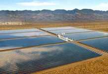 L’Algérie opte pour le solaire L’Algérie opte pour le solaire