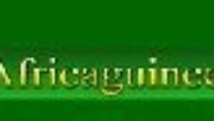 logo_Africaguinee_04.jpg