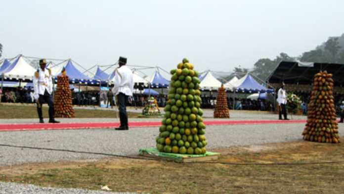 agriculture camerounaise