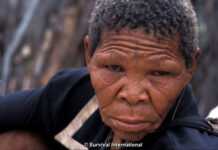 Botswana : les Bushmen peuvent retrouver leur terre