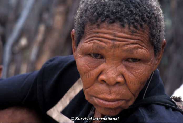 Bushmen