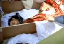 Libye : la boucherie Libye : la boucherie