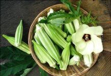 Mouloukhiye (gombo) Mouloukhiye (gombo)